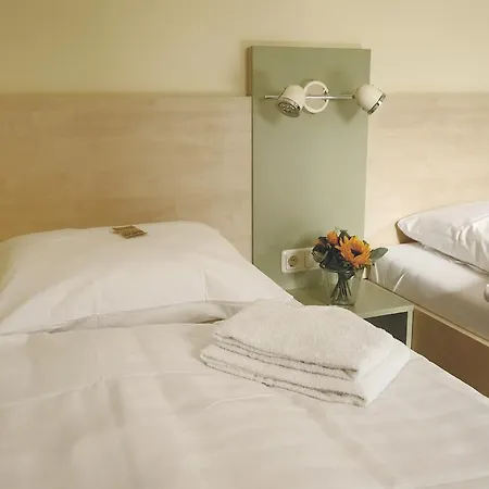 فندق Airporthotel فيزه
