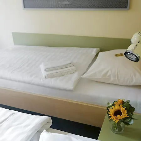 فندق Airporthotel فيزه